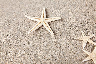 《星空之海》昼夜系统演示片段 官方希望玩家添加愿望单